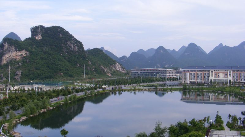 成都电容代理加盟，揭秘加盟背后的关键要素