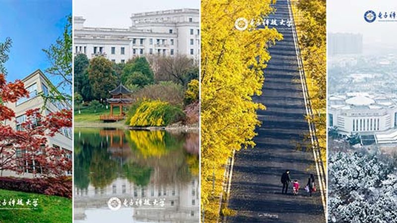 电子科技产品代理加盟，你需要了解的四大关键点**