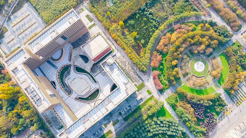 选择Linux开发板时，需要关注以下几个关键参数：