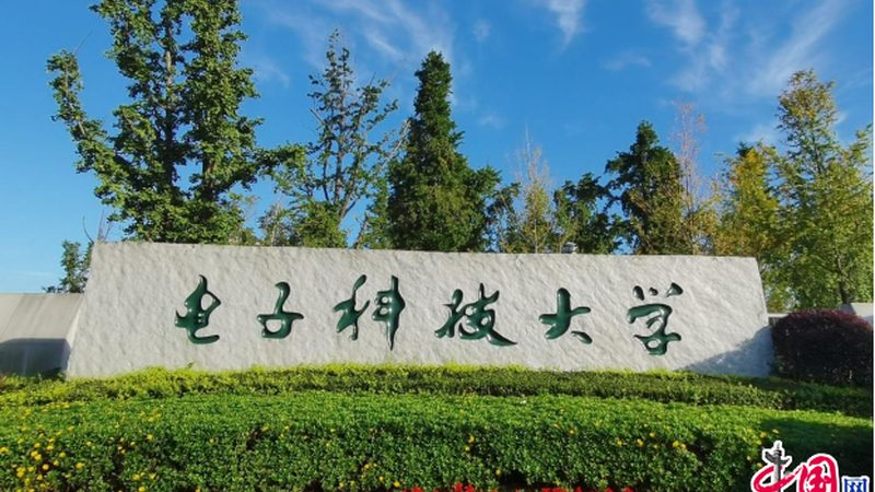 电子元件焊接加工标准：揭秘其重要性及关键要素